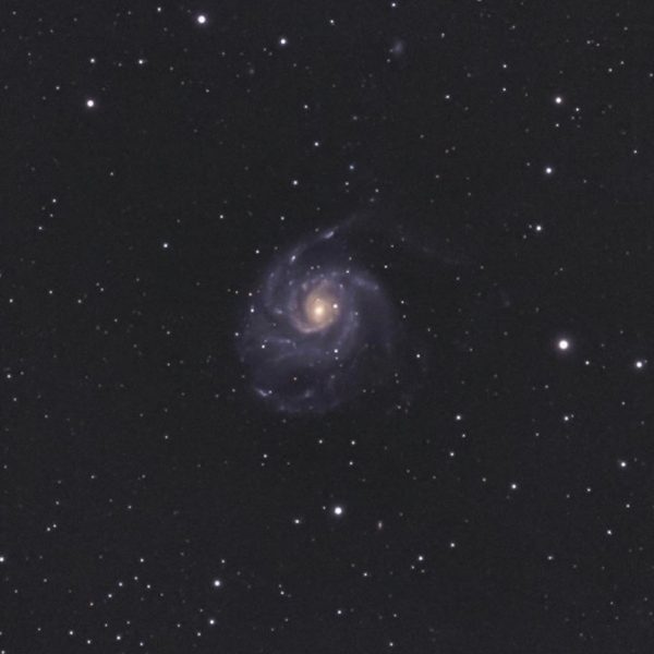 The Pinwheel Galaxy