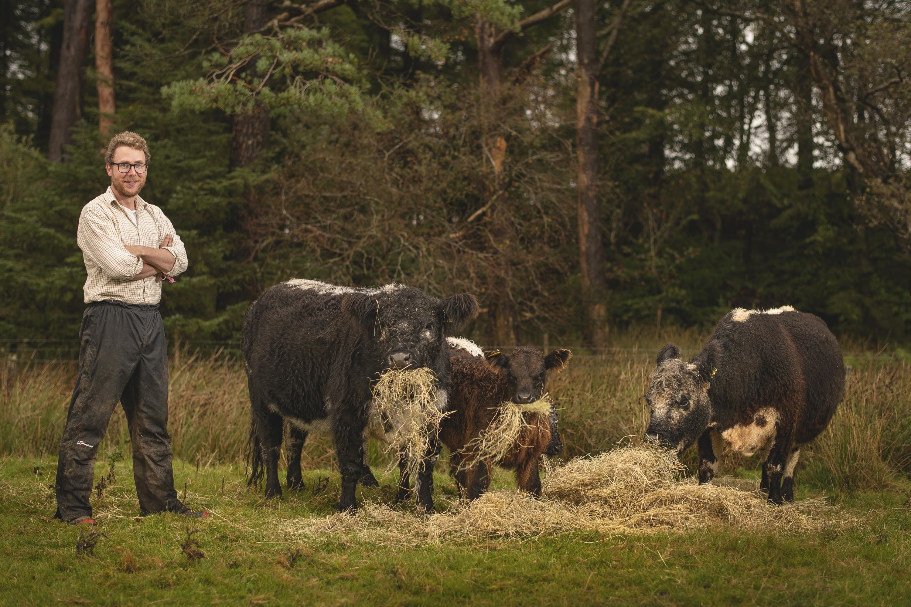 Patrick Galloway standing in a field with three cows eating loose hay. Trees are behind him.