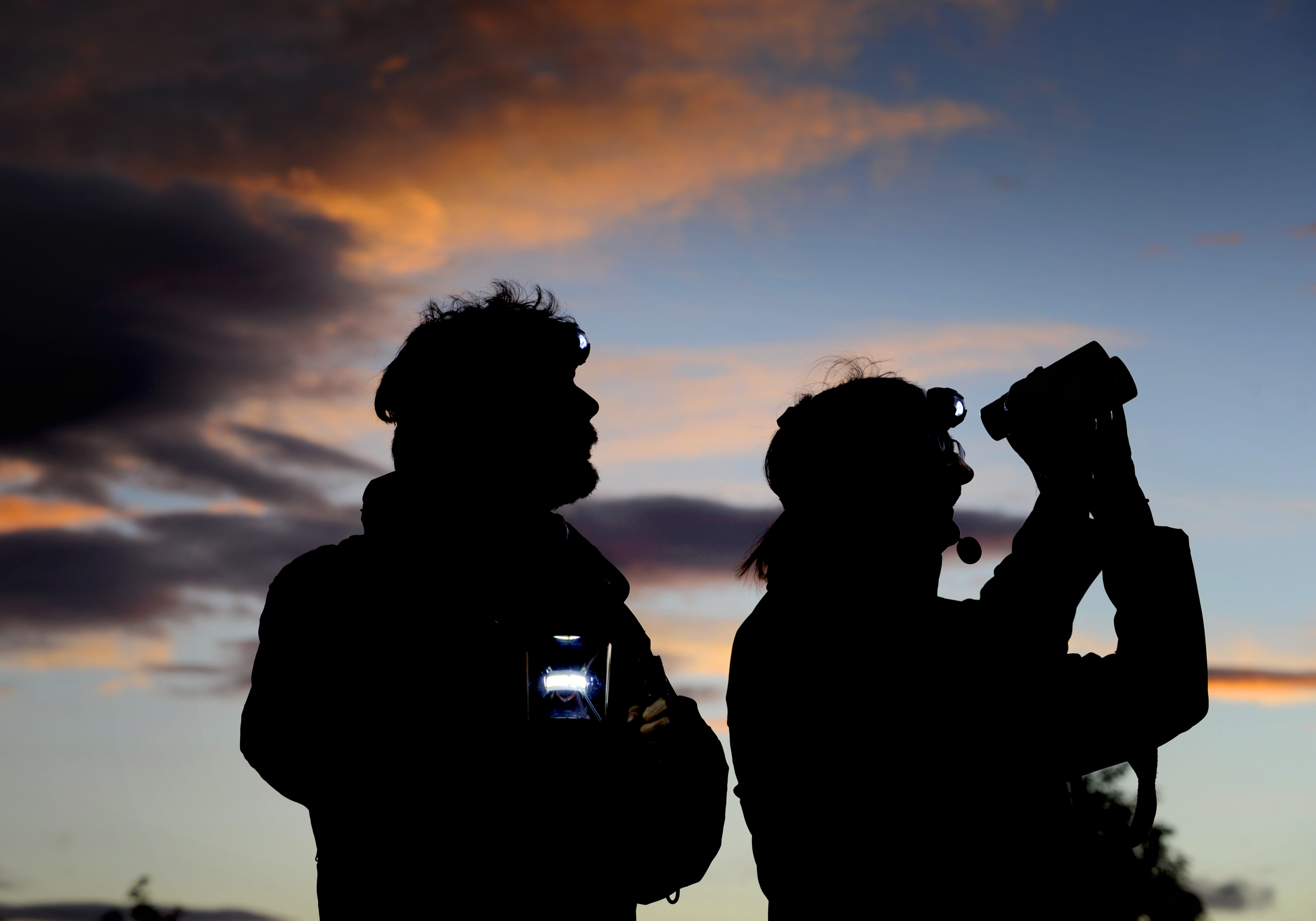 Dan Richards and Elizabeth Tindal in silhouette against a sunset sky. Elizabeth is holding up binoculars.