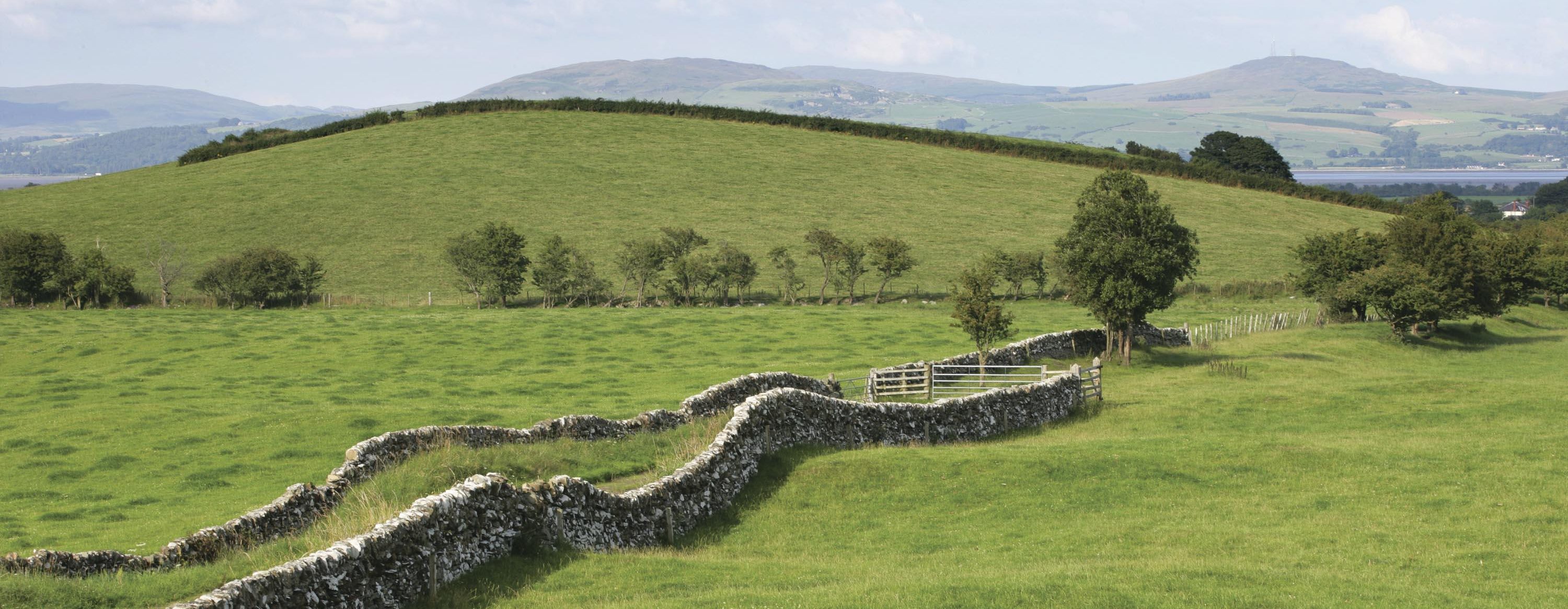 Dry stone walls run through lush green grass fields. The Galloway hills are in the distance.