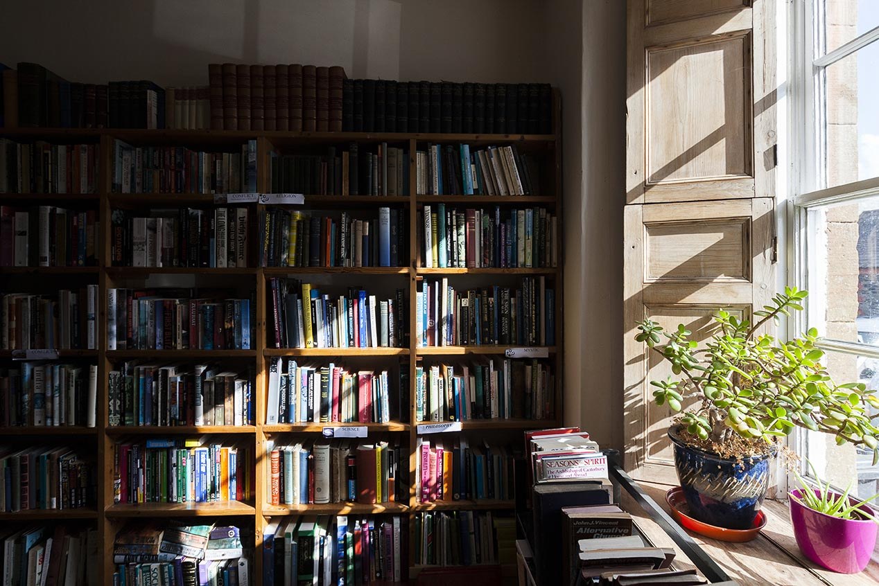 A bookshop. Bookshelves full of books, sunlight streaming in through the window on the right. Potted plants sit on the windowsill.