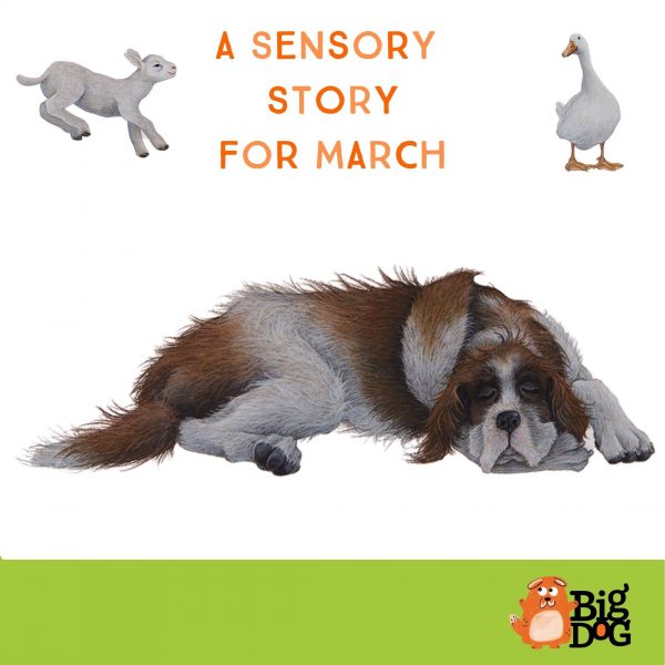 'A Sensory story for March' book cover features a large sleeping dog lying down. A lamb and a goose above him