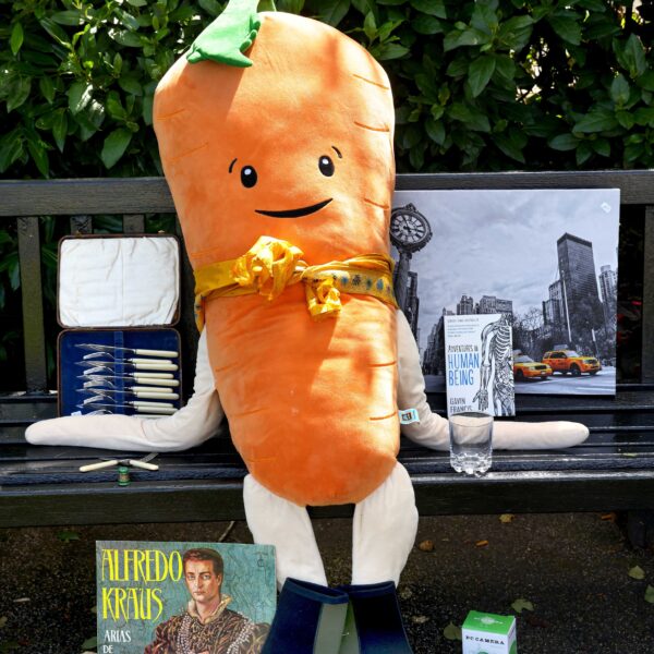 Ten objects from Wigtown Community Shop: A large Kevin the Carrot stuffed toy seated on a bench surrounded by a cutlery set, a pair of wetsuit boots, a book, an image on canvas of New York, a camera and a vinyl record.