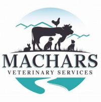 Machars vets